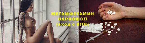 трава Белокуриха