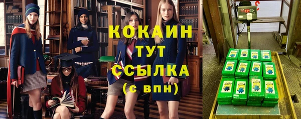 трава Белокуриха