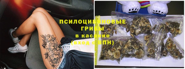 трава Белокуриха