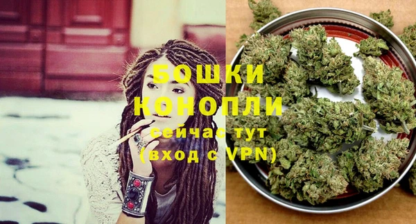 трава Белокуриха