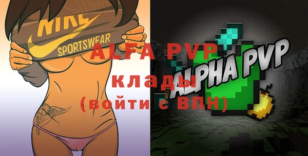 трава Белокуриха
