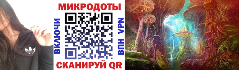 где можно купить наркотик  Белорецк  Галлюциногенные грибы Cubensis 